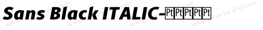Sans Black ITALIC字体转换